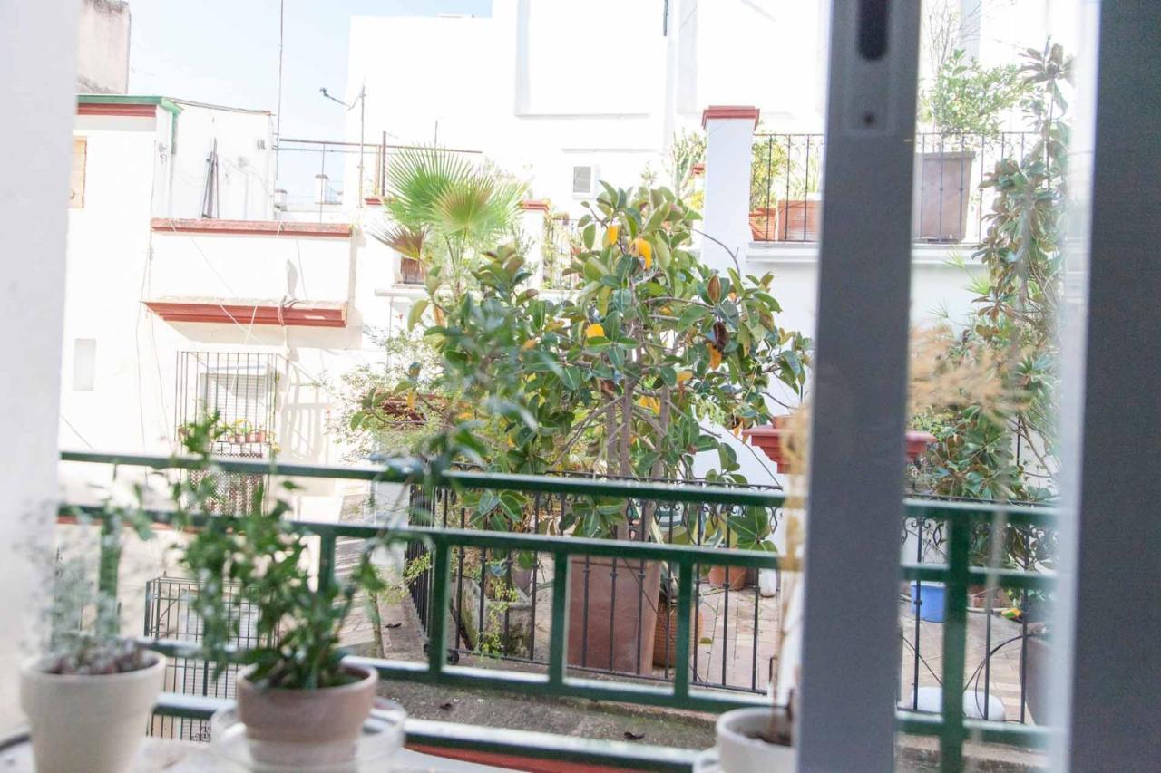 Appartement Chic&luminoso Wifi Ac Elegante En El Salvador 1 Hab